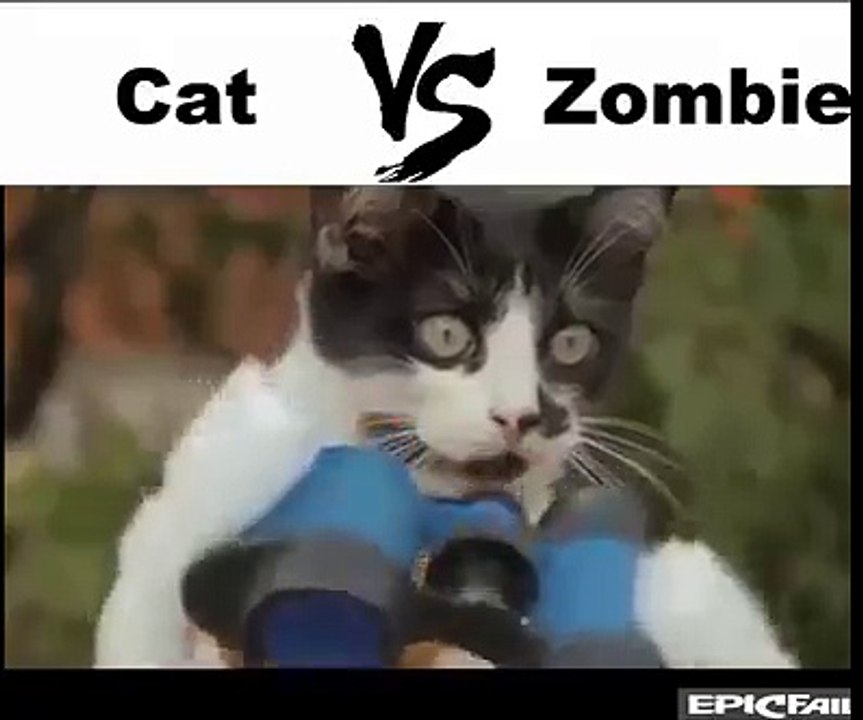 Cat vs Zumbie