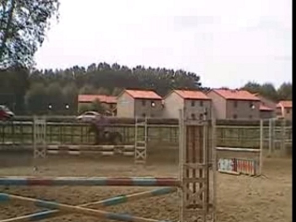 saut dario et moi
