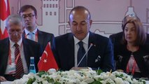 Dışişleri Bakanı Mevlüt Çavuşoğlu: 