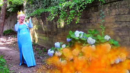 Frozen Elsa, Spiderman, Snow white vs Evil Crown Evil Elsa: Funny Superhero video in real life