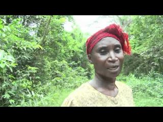 Côte d'Ivoire: sécuriser l'ouest, priorité des FRCI