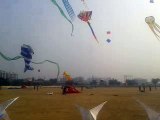 International Kites festival,Dwarka