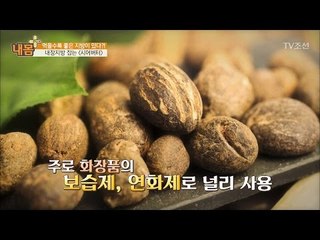 먹으면 좋은 지방! 내장지방 잡는 ‘시어버터’ [내 몸 플러스] 43회 20170129