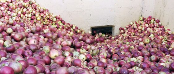 Valade, la tradition du fruit