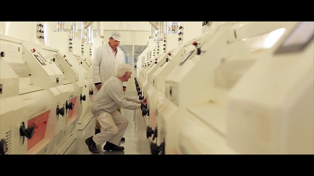 Moulins Dumee, meuniers ultramodernes