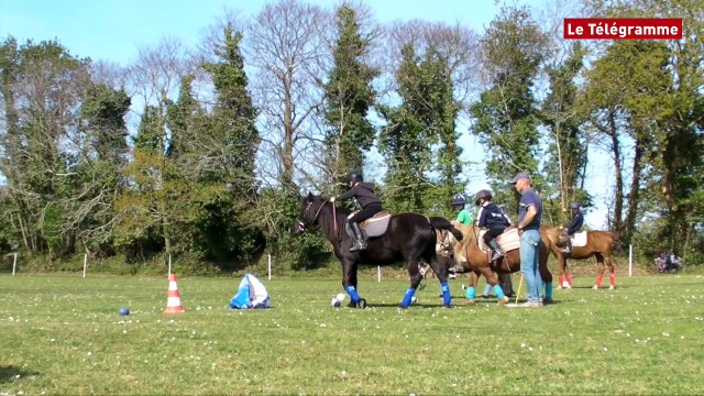 Quimper. A l'école du polo aux écuries du Reden