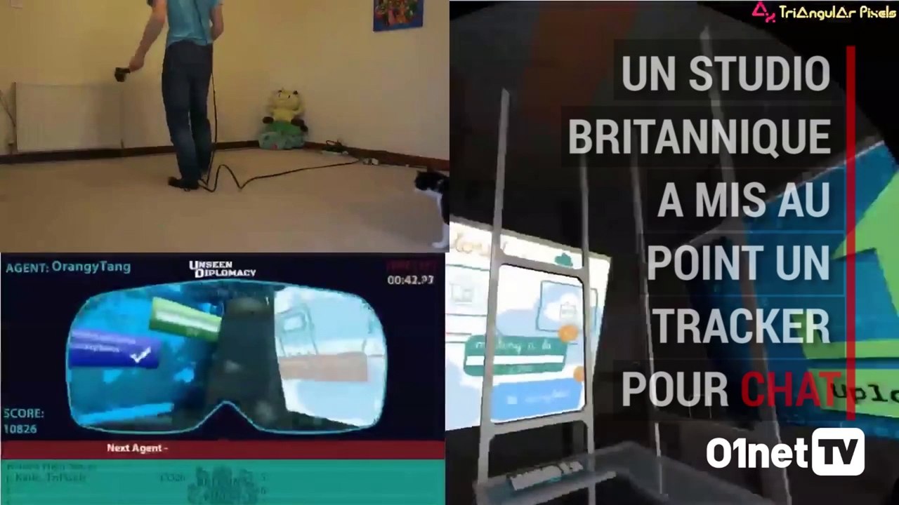 La réalité virtuelle avec votre chat