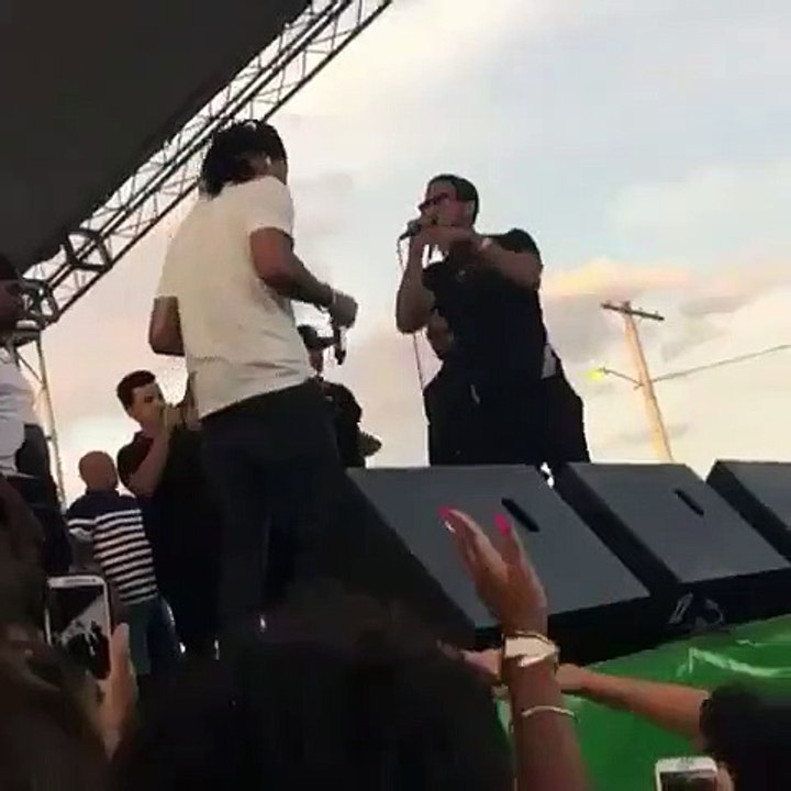 Seguridad de Mozart La Para Se Quilla Con Un Fans