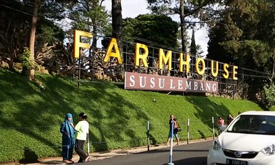 Ini Referensi Tempat Berlibur yang Cocok bagi Anak