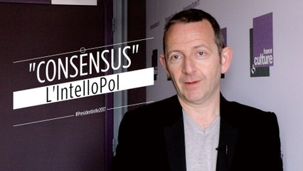 L'IntelloPol #10 : "consensus", par Guillaume Erner