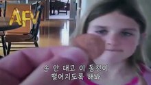 하얀천사