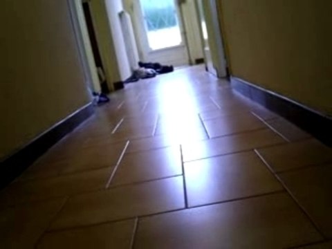 Celian à 4 pattes qui ecoute pas sa maman[10 mois]