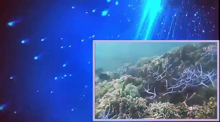 NHKスペシャル 日本列島　奇跡の大自然 　第２集　 海 豊かな命の物語 part 2/2