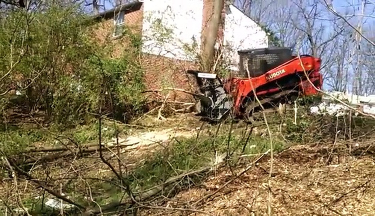 Emergency Tree Service