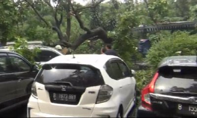 Pohon Tumbang, 5 Mobil dan Belasan Motor Rusak