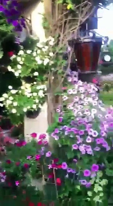lovely garden