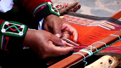 Spirit of the Andes - Ethically Sourced Fur