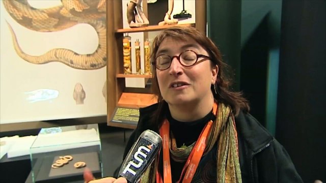 JT Region - Auvergne Rhône-Alpes