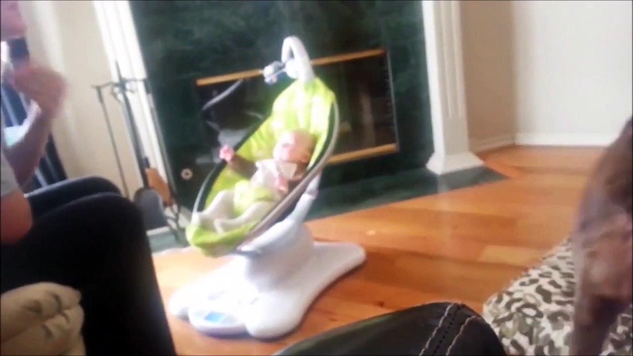 Quand ton chien est très jaloux du bébé