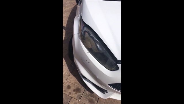 Il retrouve un oiseau vivant coincé dans son phare de voiture