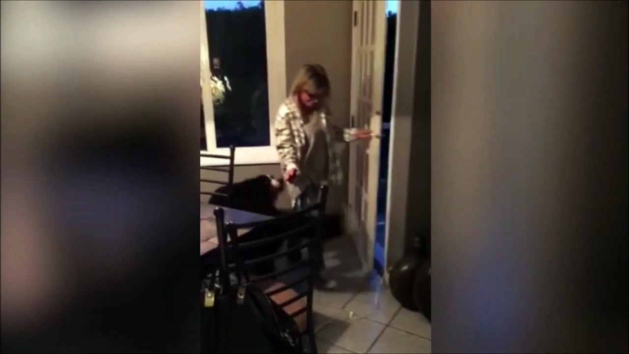 Attention, quand ce gros chien est content il est très très content... Adorable