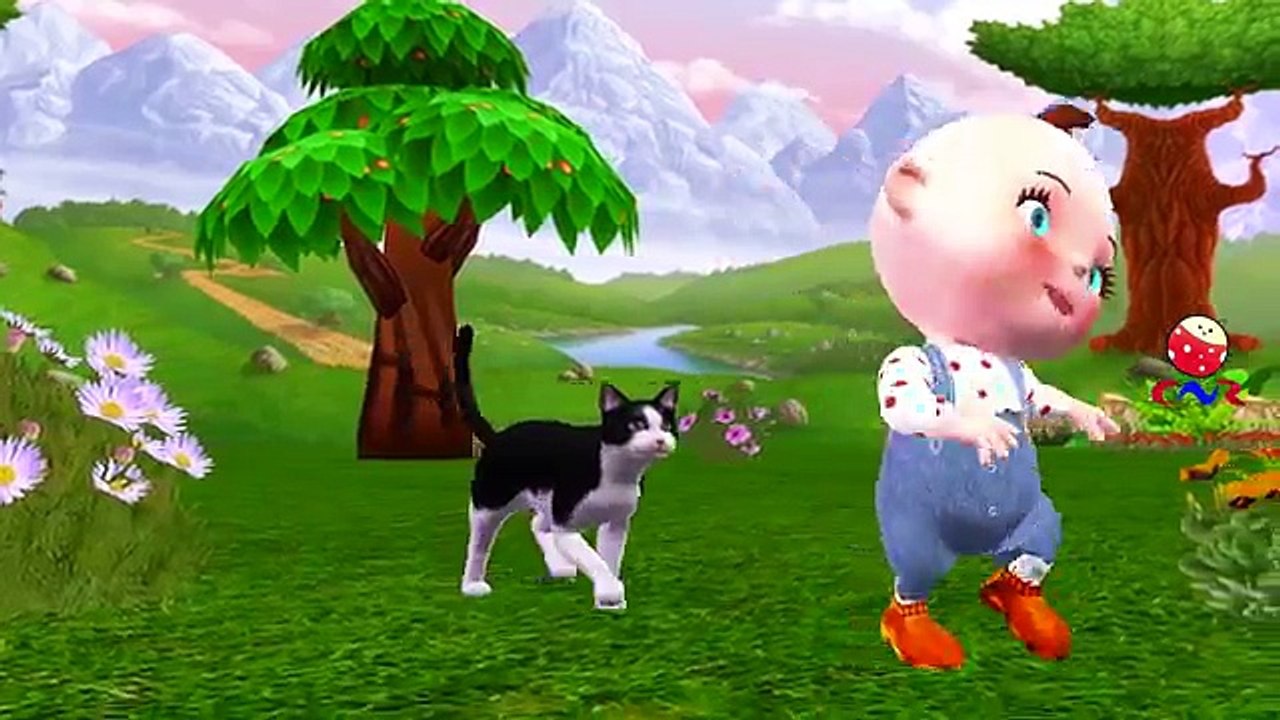 Little Baby Funny Cats Video Compilation - Five Little Babies Three Little Kittens Nursery Rhymes