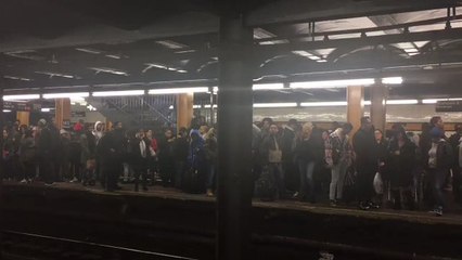 Télécharger la video: Crowds Fill Subway Platform as Power Outage Causes Delays