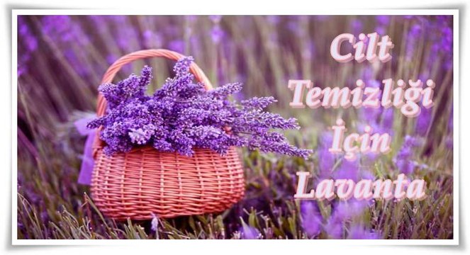 Cilt temizliği için lavanta kürü - ibrahim saraçoğlu - Mucize iksirler