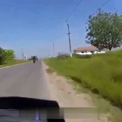 Il a failli percuter un cheval avec sa moto monsterbuzz.fr