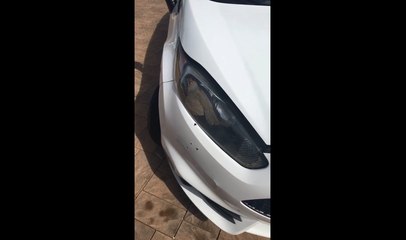 Un oiseau est coincé dans le phare d'une voiture.