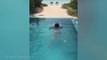 Kady McDermott Instagram fans treated to saucy swim video