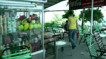 Hoa Xương Rồng - Tập 30 - Phim Tình Cảm Việt Nam Đặc Sắc Hay Nhất 2017