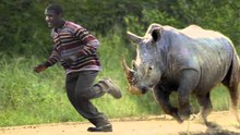 Animal Attacks on human! et plus - هجوم الحيوانات على الجمهور المتفرج