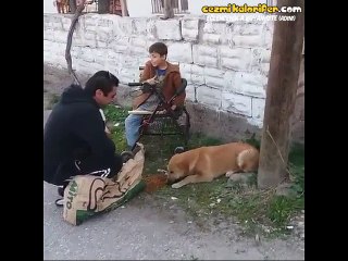 Köpeğine Mama Verilince Mutluluktan Havalara Uçan Güzel Kalpli Çocuk Ve Teşekkür Edercesine Mama Veren Adamı Öpen Köpekcik