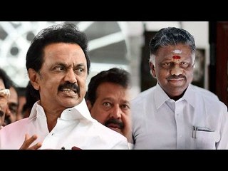 Download Video: DMK MLA insulted speaker, OPS slams MK Stalin for not acting | Oneindia News