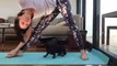 Faire du Yoga avec un bébé chien tout mignon !