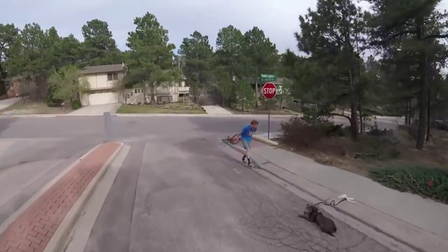 Il jette son vélo sur son chien par énervement