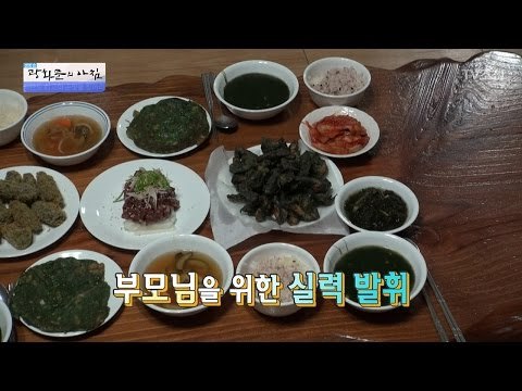 특별한 밥상! 매생이 스페셜 요리! [광화문의 아침] 407회 20170123