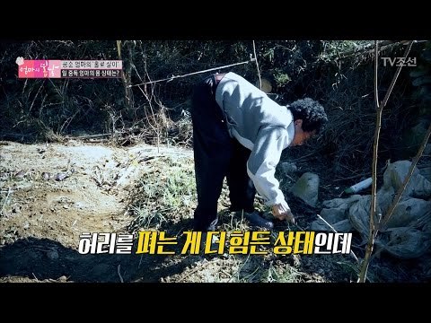 일 중독 엄마의 심각한 허리 상태! [엄마의 봄날] 73회 20170122