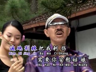 林光德Lin Guang De - 长青魅力恋歌 2【我需要安慰】