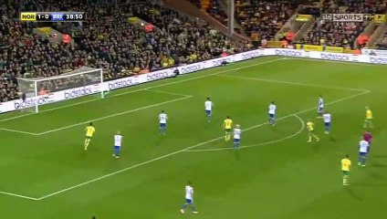 2-0 David Stockdale Second OwnGoal England Championship - 21.04.2017 Norwich City 2-0 Brighton