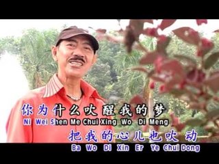 林光德Lin Guang De - 长青魅力恋歌 2【你是春日风】