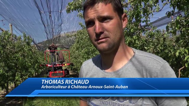 Alpes-de-Haute-Provence : À Château Arnoux Saint Auban, on s'inquiète d'éventuelles gelées noires