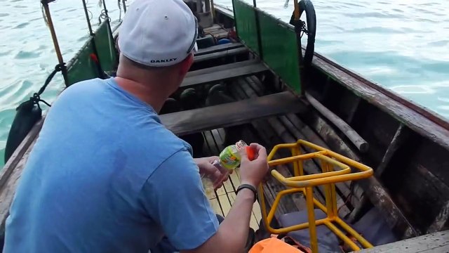 Ce singe aime bien boire de l'alcool et plonger dans l'eau