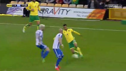 Norwich 2-0 Brighton - All Goals & Highlights HD - 21.04.2017