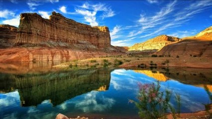 José Simón Elarba - Planeta Verde