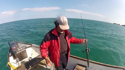 7Lb Bass on Mackerel Lures-_82of0692qU