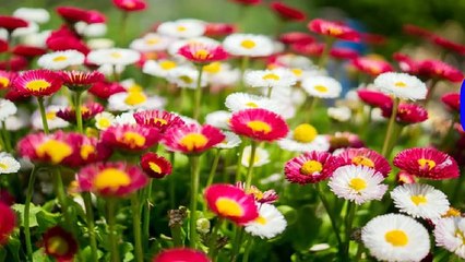 이수건마 ュ 이수오피 へ 오피쓰 ロ 이수휴게텔 이수키스방 이수마사지