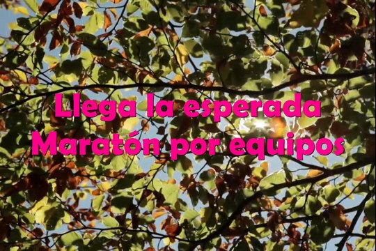 Spot Maraton por equipos 2017