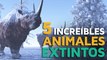 5 INCREÍBLES animales extintos